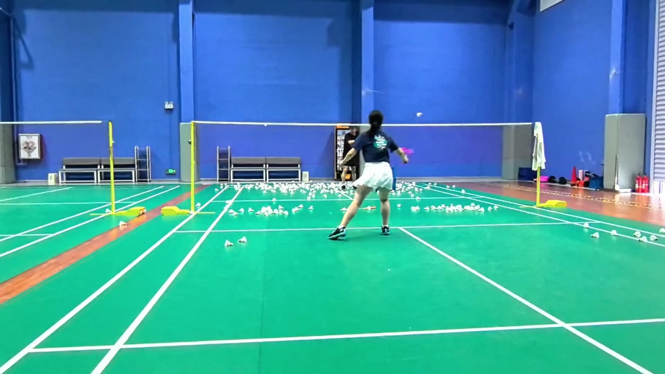 但鹈鹕队凭 但鹈鹕队凭