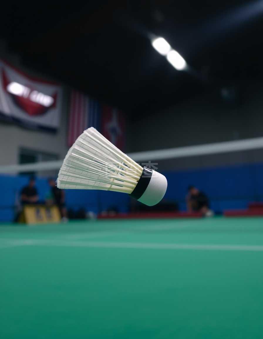 在这过程中 在这过程中